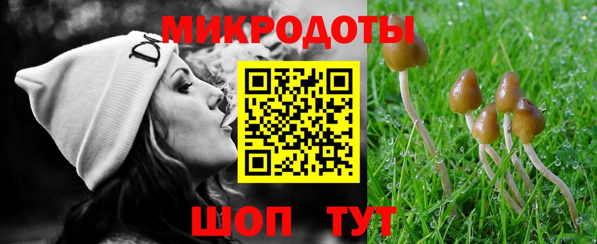 Псилоцибиновые грибы Cubensis  Вход с VPN  Ачинск 