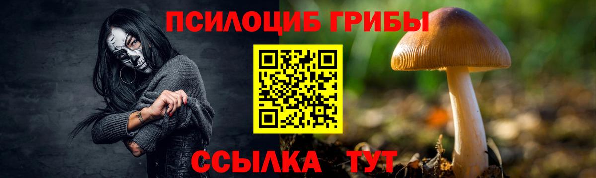 Галлюциногенные грибы мицелий Ачинск